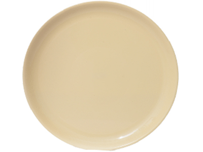 Deep Plastic - DINNER PLATE